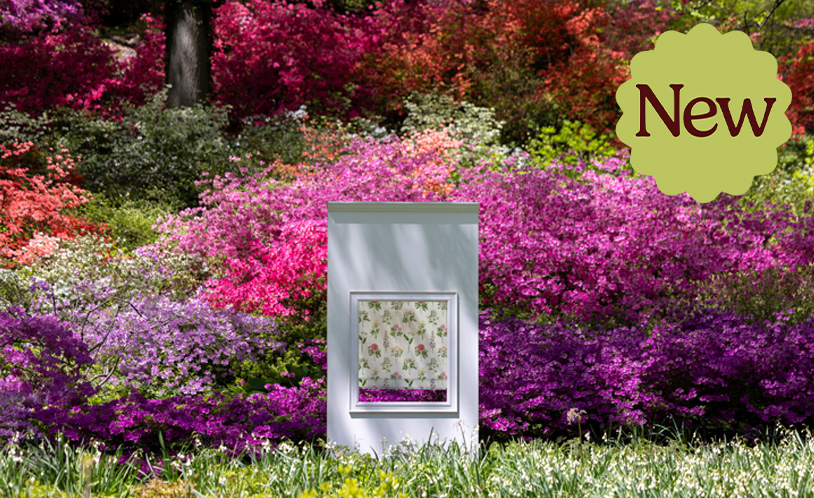 New York Botanical Garden product image