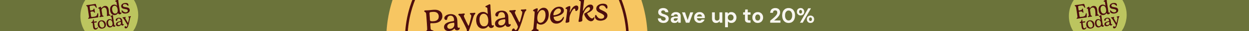 large offer snippet