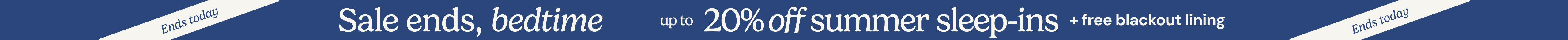 large offer snippet