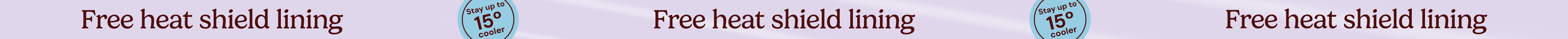 large offer snippet