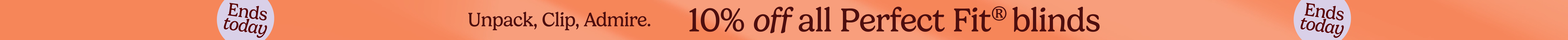 large offer snippet