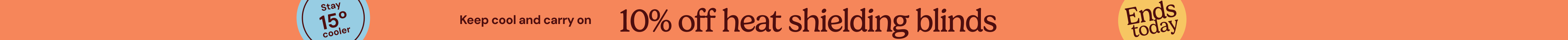 large offer snippet