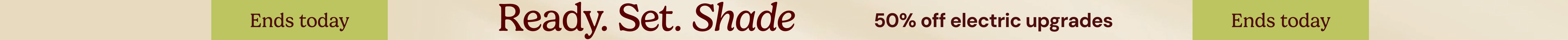 large offer snippet