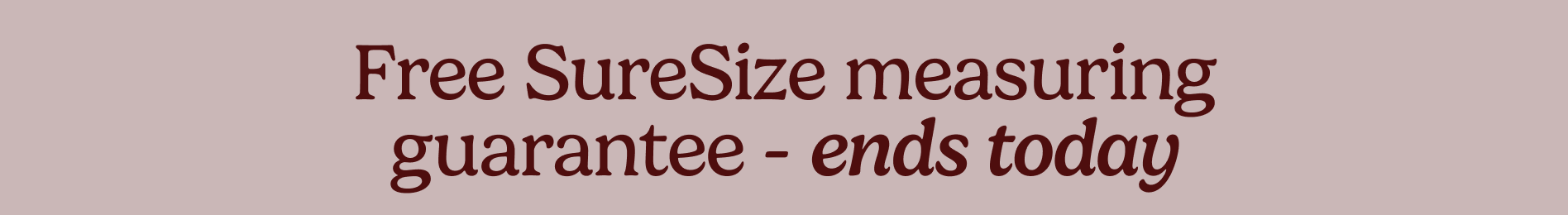 small offer snippet