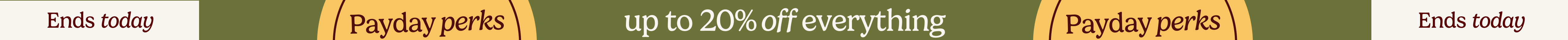 large offer snippet