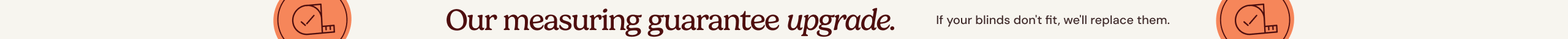 large offer snippet