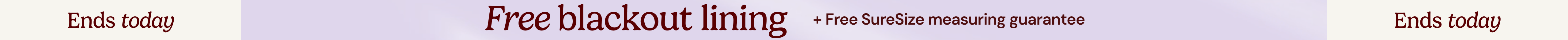 large offer snippet