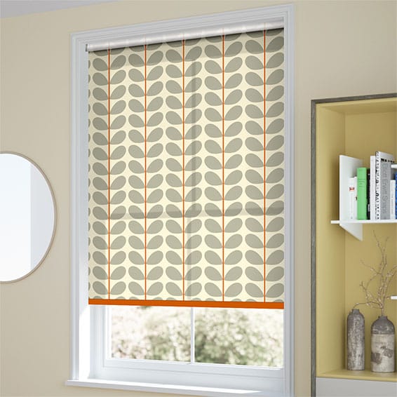coloured blinds